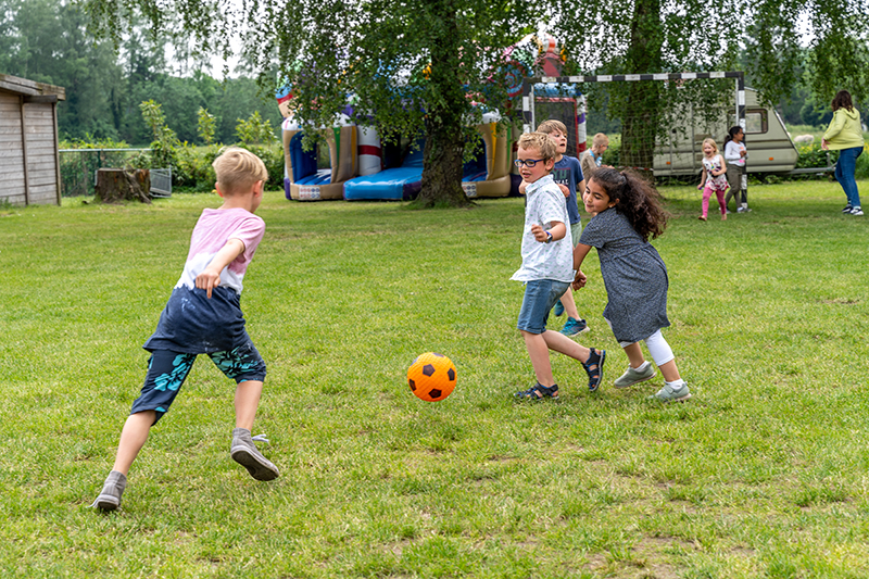 Basisschool 't Park Oostmalle in een groene omgeving